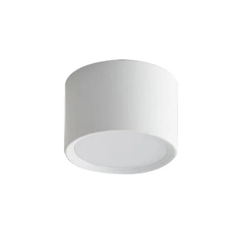 Modern Surface Mounted LED Downlight for Living Room and Bedroom Interiors