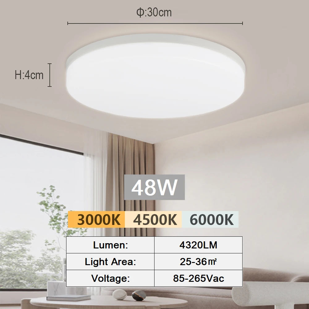 Modern LED Flush Mount Ceiling Light for Kitchens and Hallways