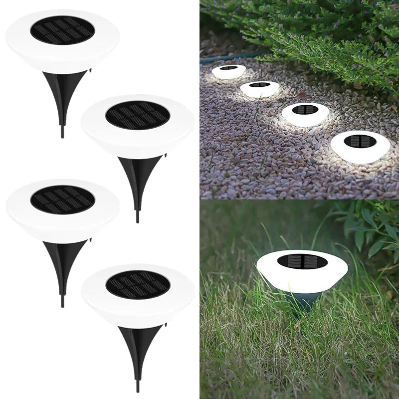 Waterproof LED Solar Path Light for Modern Garden and Driveway Lighting