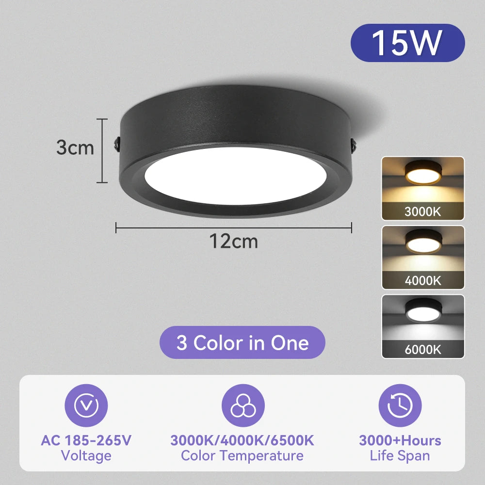 Modern Surface Mounted LED Downlight for Living Room and Bathroom Lighting