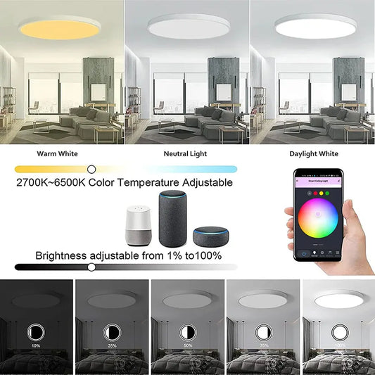 Smart RGB LED Ceiling Light with App Control for Modern Bedrooms