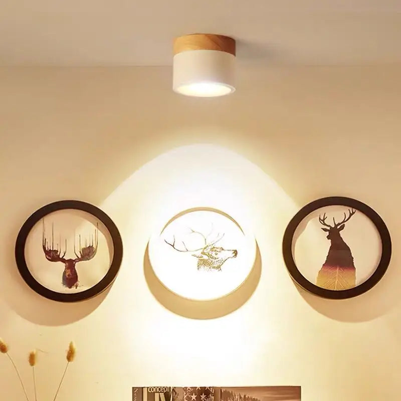Modern Surface Mounted LED Downlight for Nordic Living Rooms and Foyers