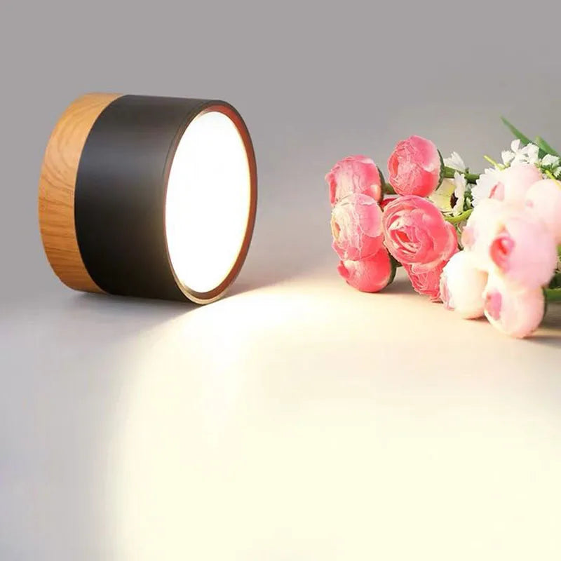 Modern Surface Mounted LED Downlight for Nordic Living Rooms and Foyers