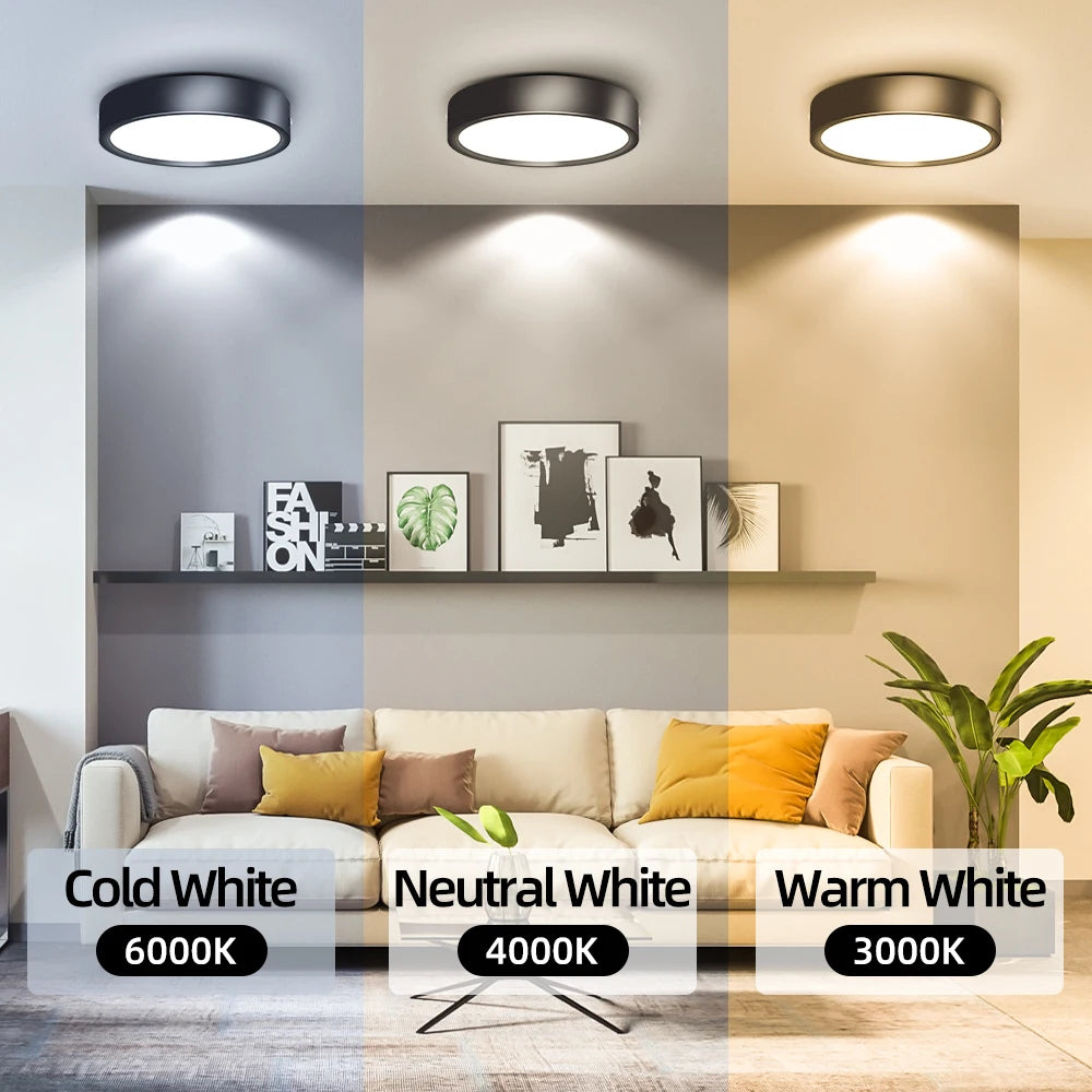 Modern Surface Mounted LED Downlight for Living Room and Bathroom Lighting