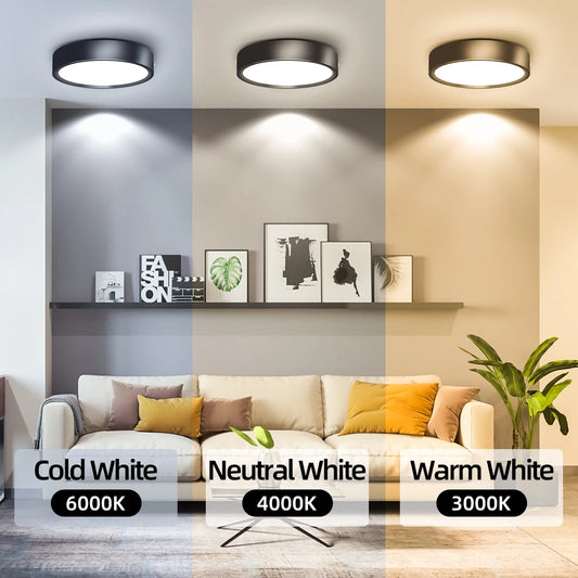 Modern Surface Mounted LED Downlight for Living Room and Bathroom Lighting