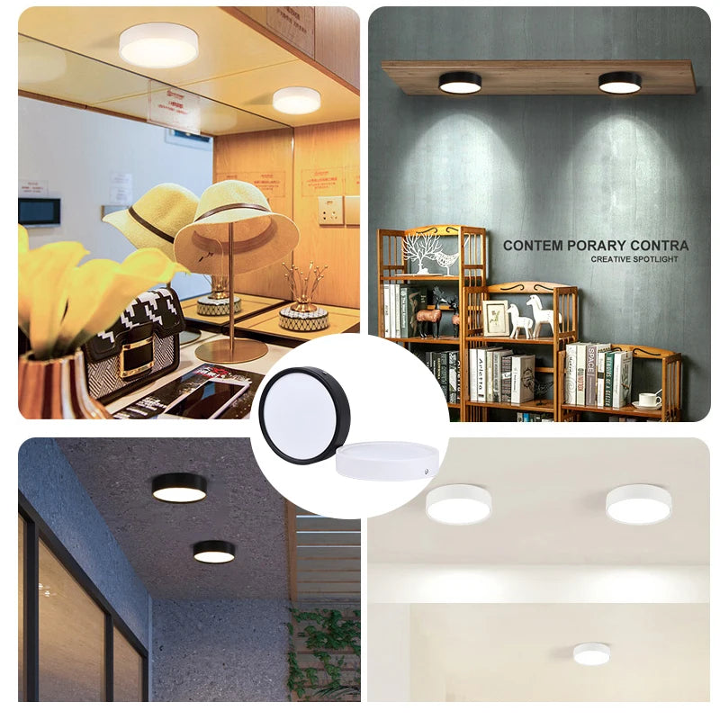 Modern Surface Mounted LED Downlight for Living Room and Bathroom Lighting