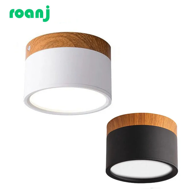 Modern Surface Mounted LED Downlight for Nordic Living Rooms and Foyers