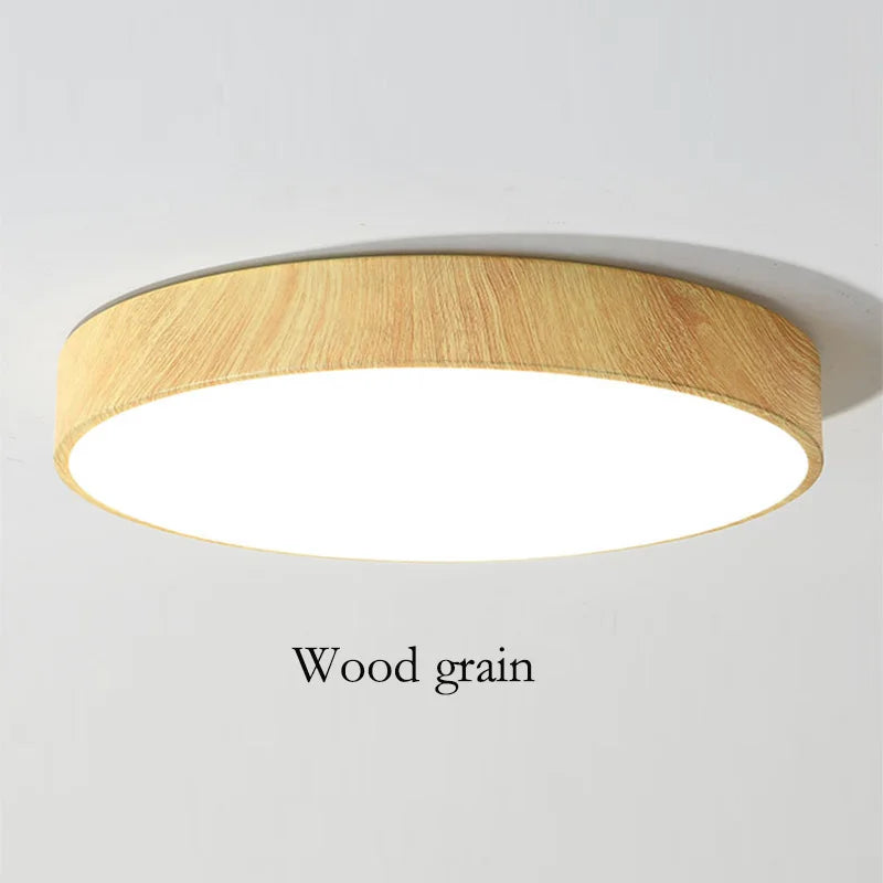 Modern LED Flush Mount Ceiling Light for Living Rooms and Hallways