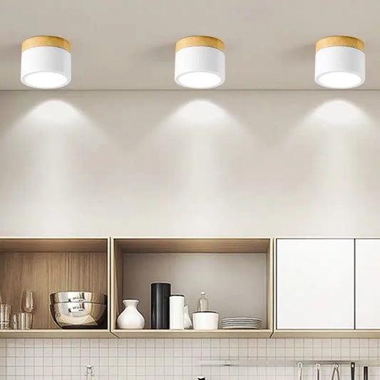 Modern Surface Mounted LED Downlight for Nordic Living Rooms and Foyers