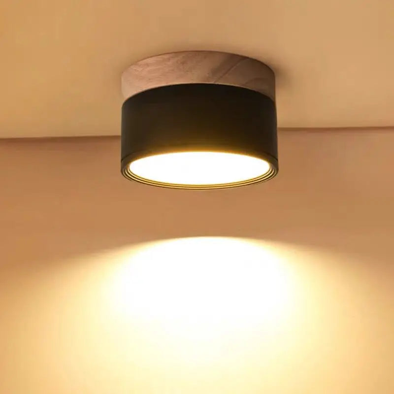 Modern Surface Mounted LED Downlight for Nordic Living Rooms and Foyers