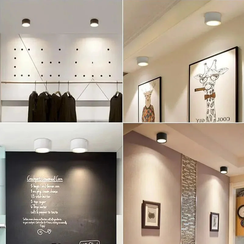 Nordic Surface Mounted LED Downlight for Modern Residential and Commercial Interiors