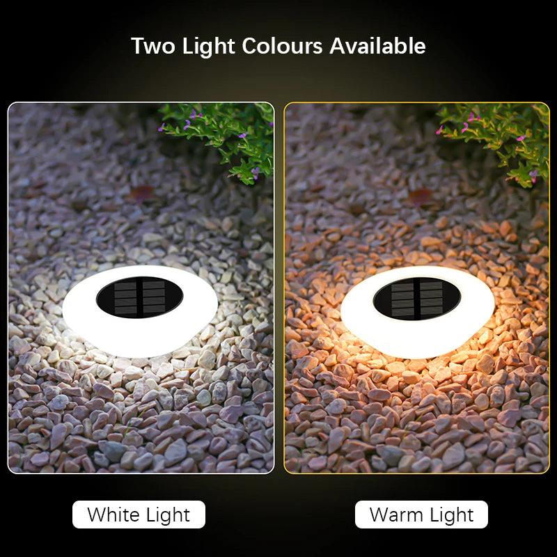 Solar LED Ground Lights for Outdoor Landscape and Garden Path Lighting