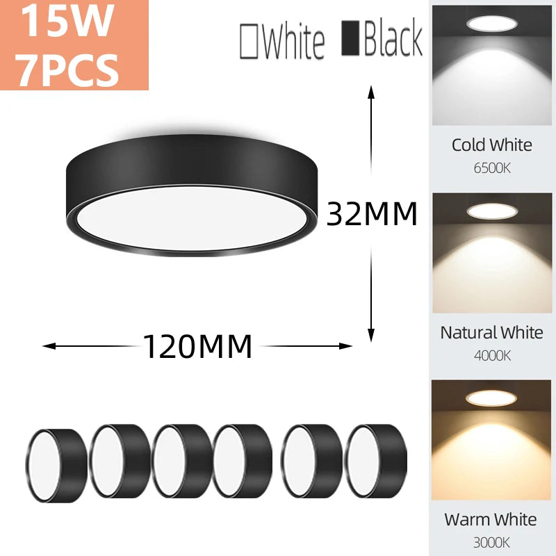Modern LED Surface Mounted Downlight for Living Room and Bedroom Lighting
