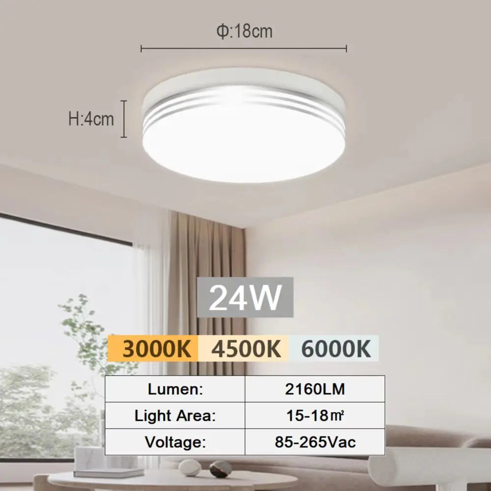 Modern LED Flush Mount Ceiling Light for Kitchens and Hallways