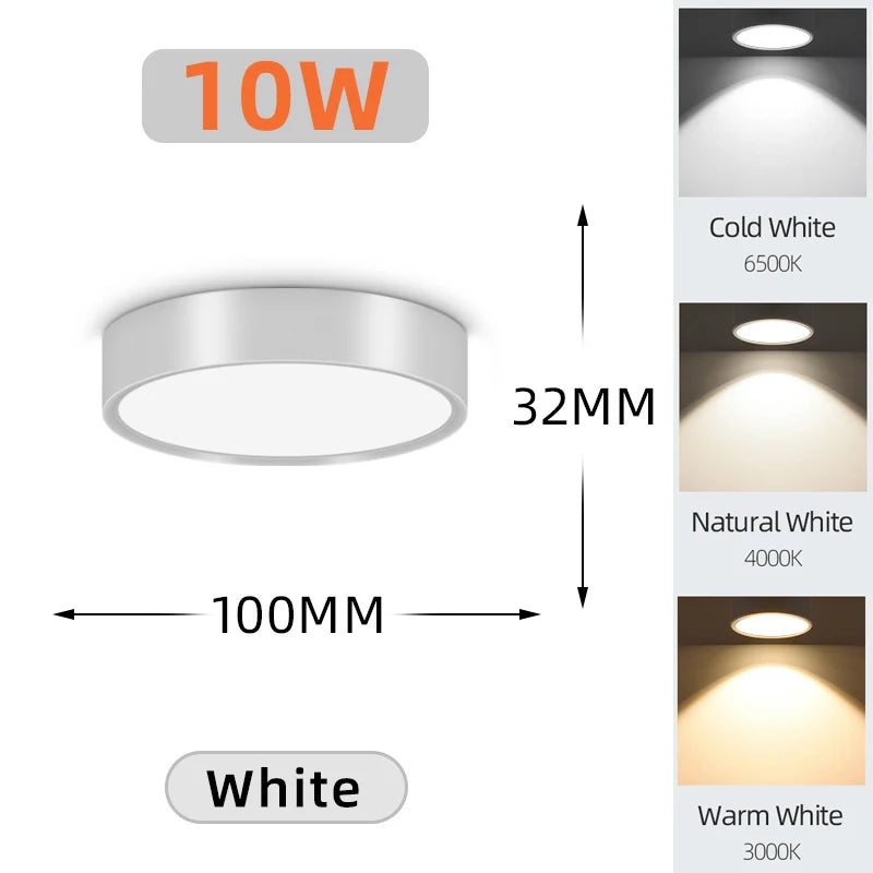 Modern LED Surface Mounted Downlight for Living Room and Bedroom Lighting