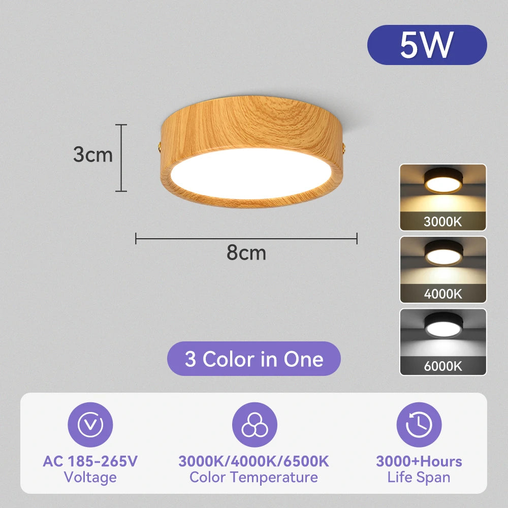 Modern Surface Mounted LED Downlight for Living Room and Bathroom Lighting