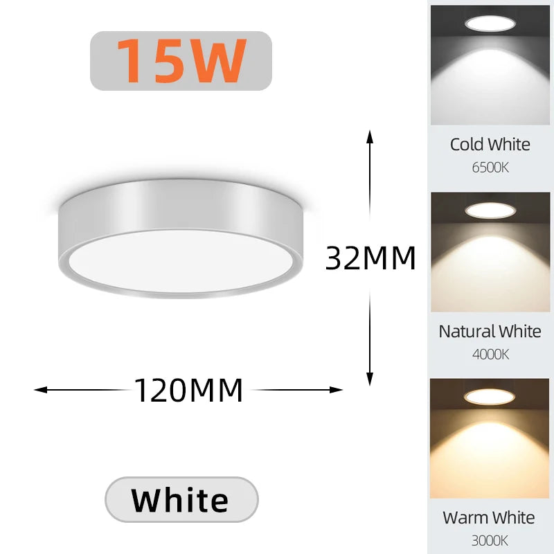 Modern LED Surface Mounted Downlight for Living Room and Bedroom Lighting