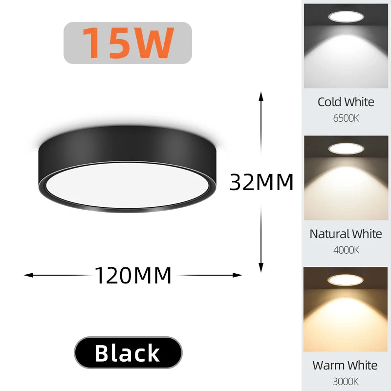 Modern LED Surface Mounted Downlight for Living Room and Bedroom Lighting
