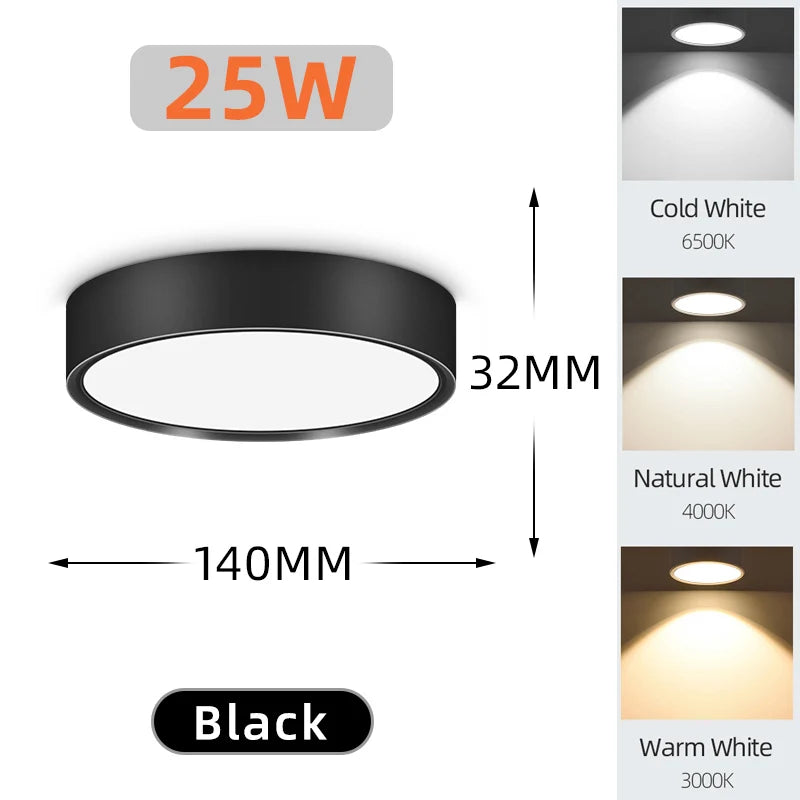 Modern LED Surface Mounted Downlight for Living Room and Bedroom Lighting