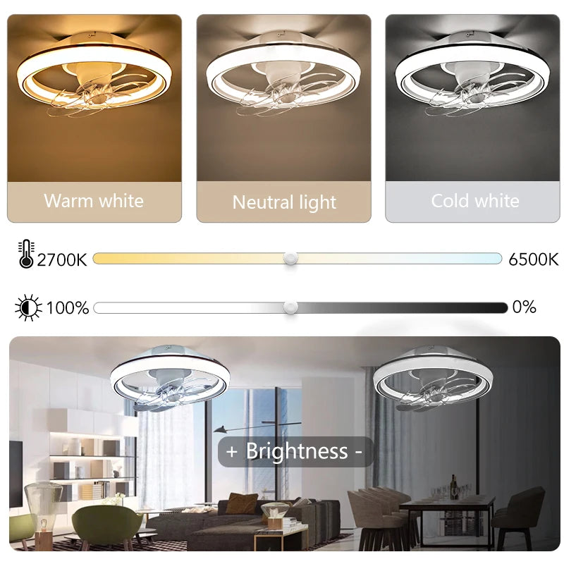 Modern LED Ceiling Fan with Remote and App Control for Living Rooms