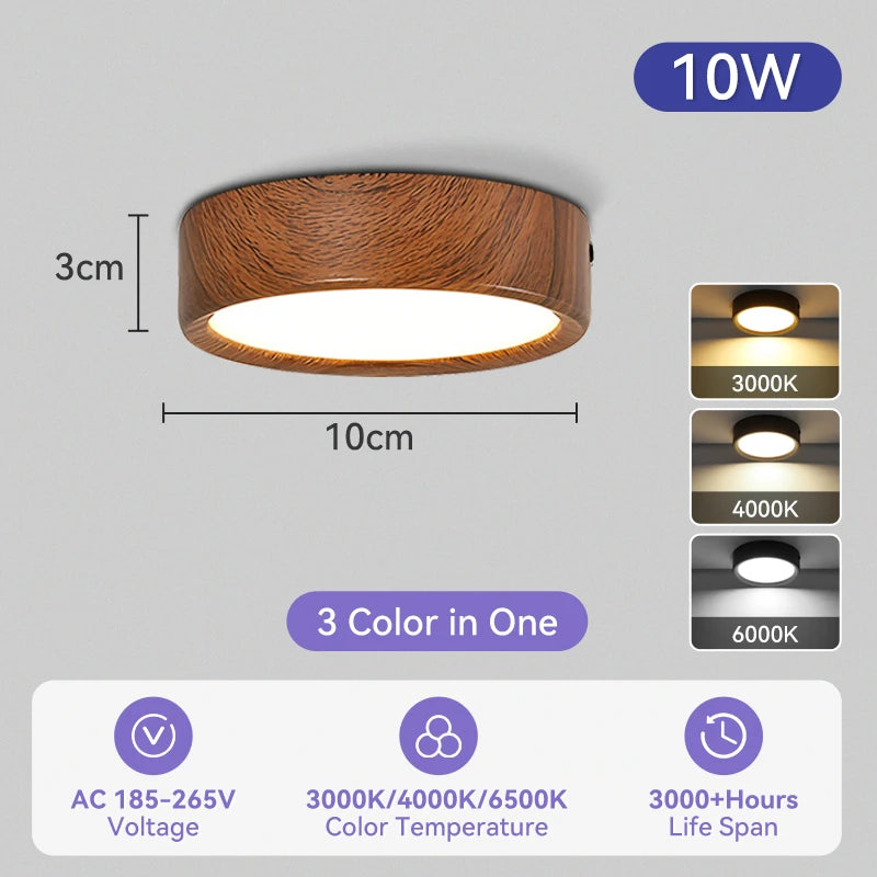 Modern Surface Mounted LED Downlight for Living Room and Bathroom Lighting