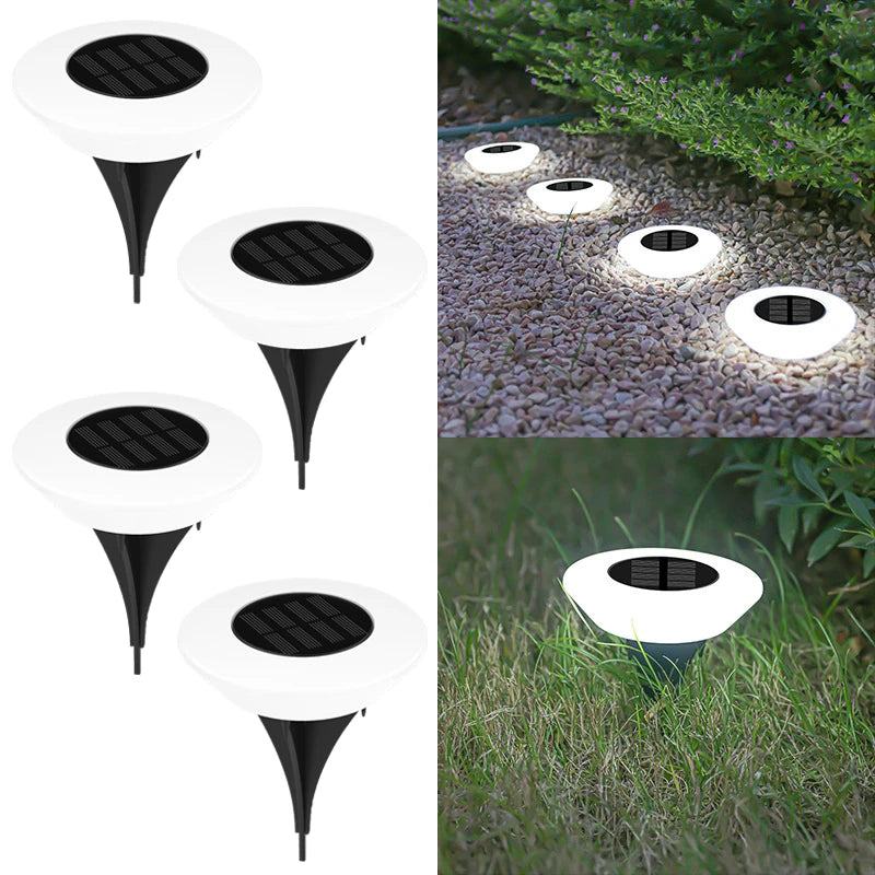 Solar LED Ground Lights for Outdoor Landscape and Garden Path Lighting