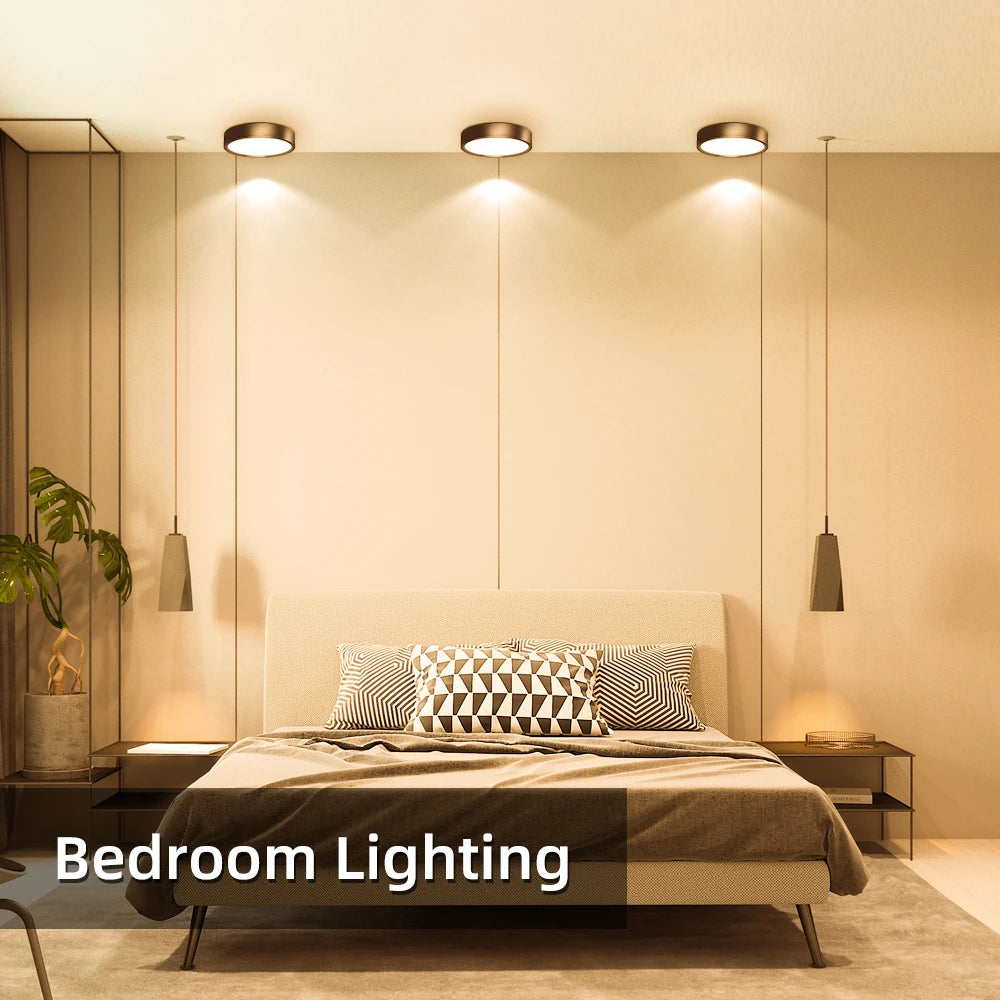 Modern LED Surface Mounted Downlight for Living Room and Bedroom Lighting