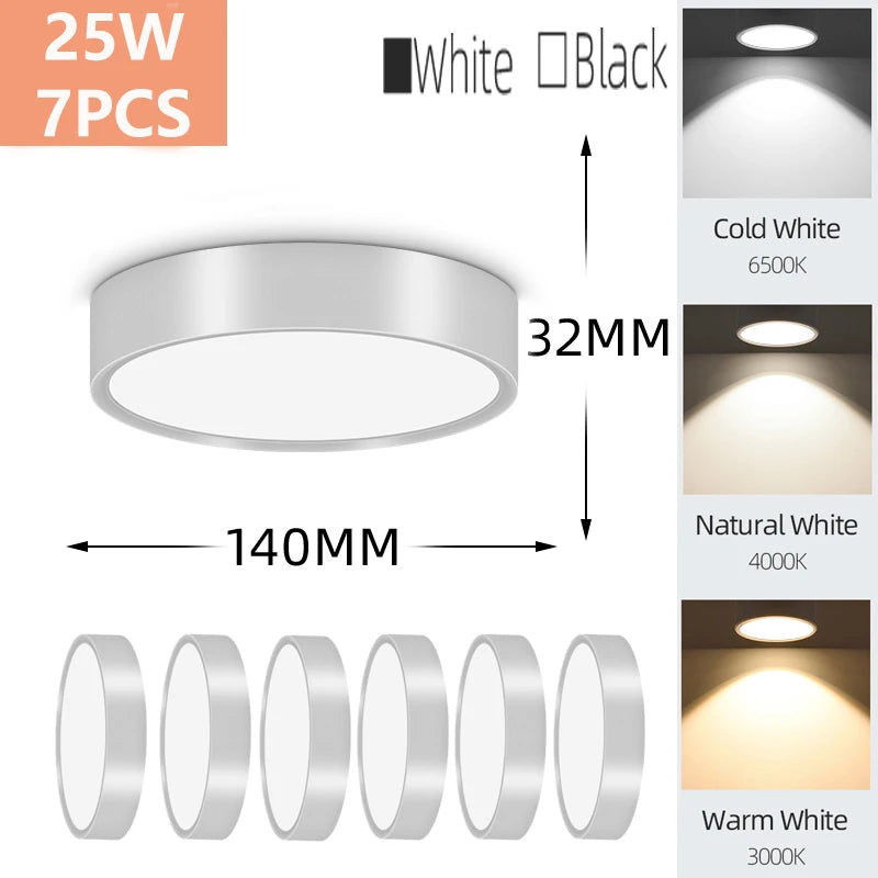 Modern LED Surface Mounted Downlight for Living Room and Bedroom Lighting