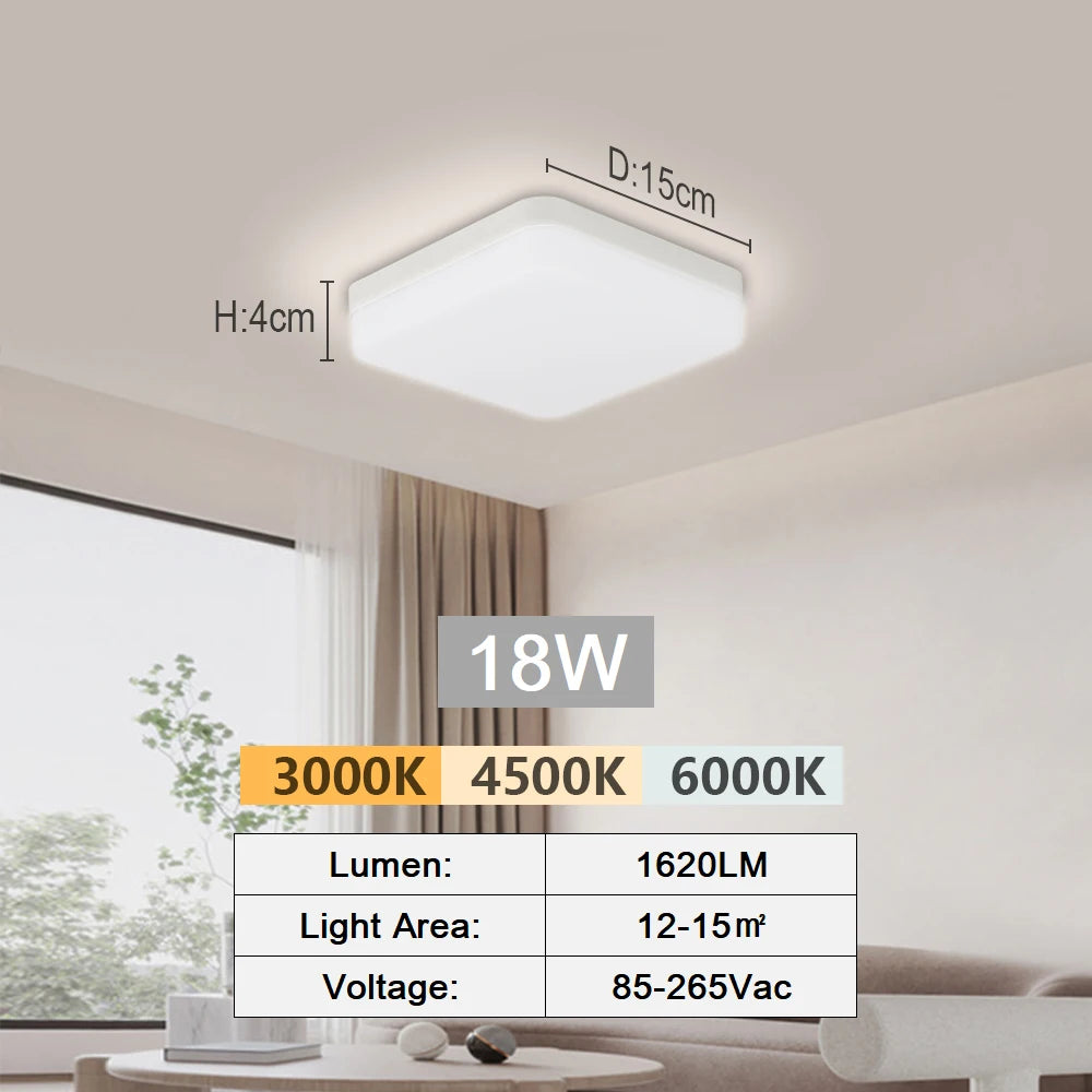 Modern LED Flush Mount Ceiling Light for Kitchens and Hallways