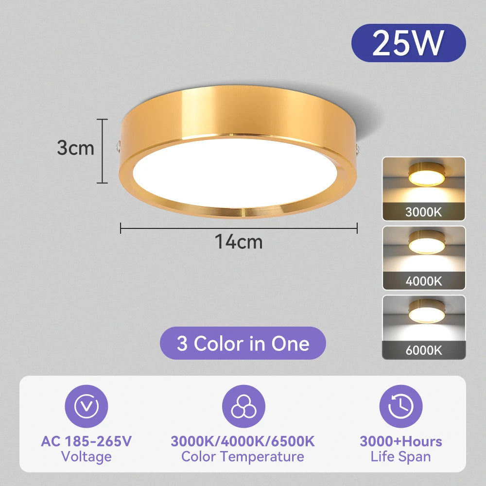 Modern Surface Mounted LED Downlight for Living Room and Bathroom Lighting