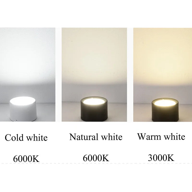 Nordic Surface Mounted LED Downlight for Modern Residential and Commercial Interiors