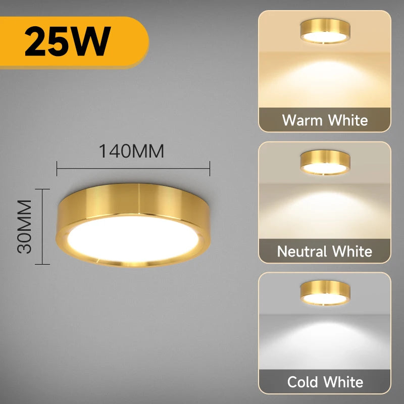 Modern LED Surface Mounted Downlight for Living Room and Bedroom Lighting