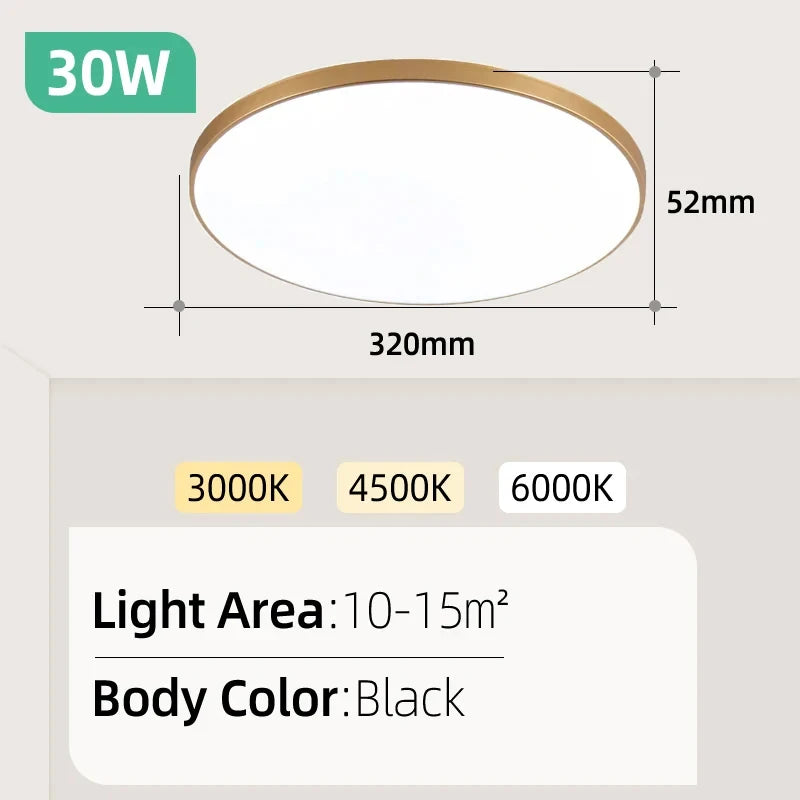 Ultra Thin LED Ceiling Light for Modern Living Rooms and Bedrooms