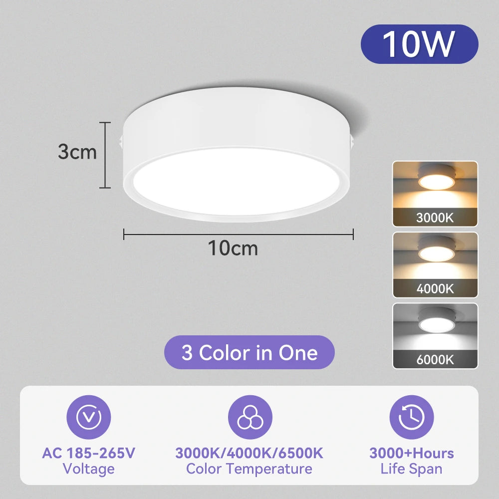 Modern Surface Mounted LED Downlight for Living Room and Bathroom Lighting