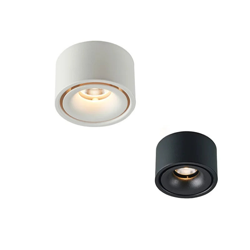 Modern Surface Mounted LED Downlight for Contemporary Residential and Office Lighting