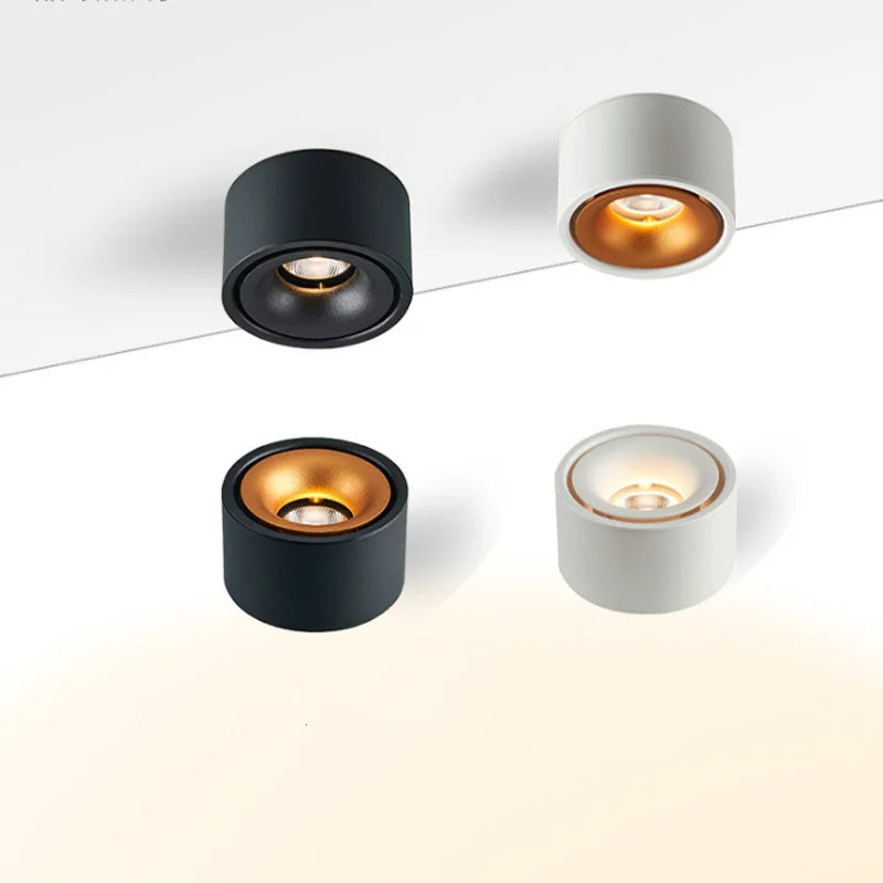 Modern Surface Mounted LED Downlight for Contemporary Residential and Office Lighting