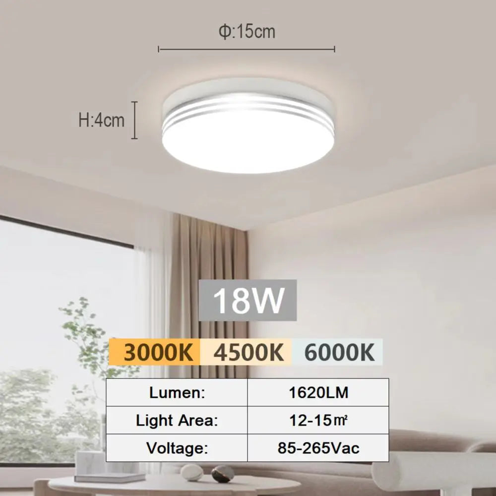 Modern LED Flush Mount Ceiling Light for Kitchens and Hallways