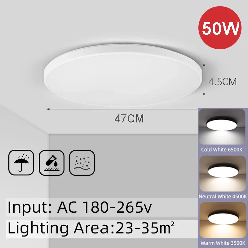 Modern Gold Flush Mount LED Ceiling Light for Kitchens and Bathrooms