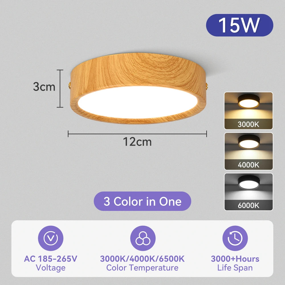 Modern Surface Mounted LED Downlight for Living Room and Bathroom Lighting