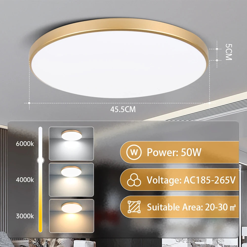 Modern Ultra-Thin LED Ceiling Light for Contemporary Bedrooms and Kitchens