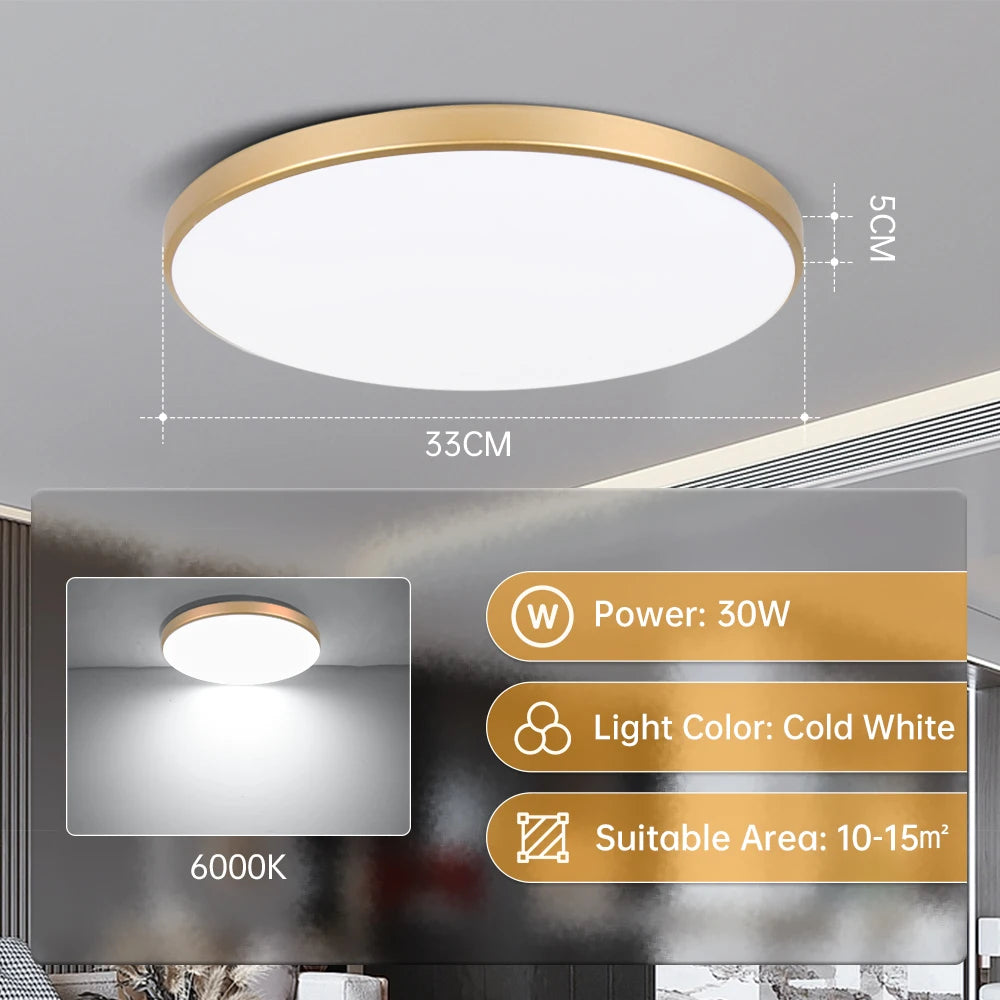 Modern Gold Flush Mount LED Ceiling Light for Kitchens and Bathrooms
