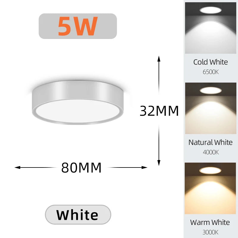 Modern LED Surface Mounted Downlight for Living Room and Bedroom Lighting