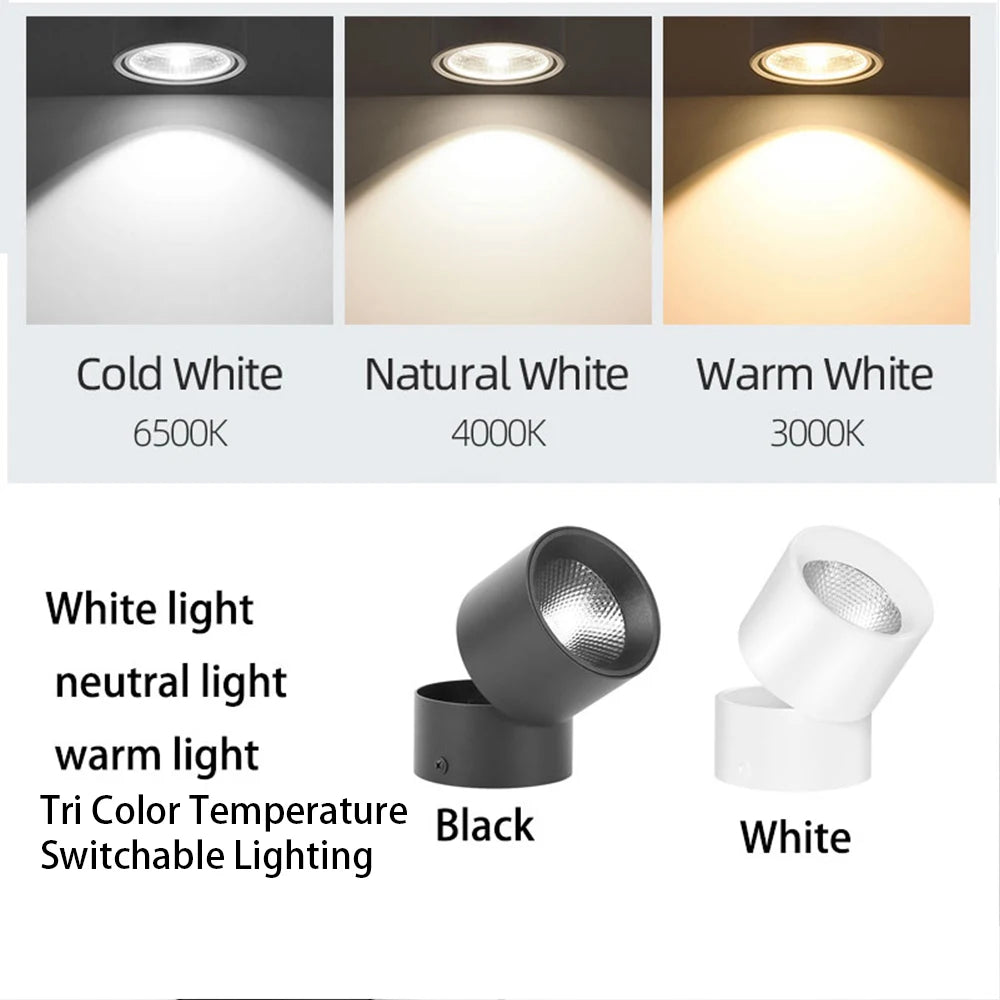 Adjustable LED Downlight with 3 Color Modes for Modern Home Interiors