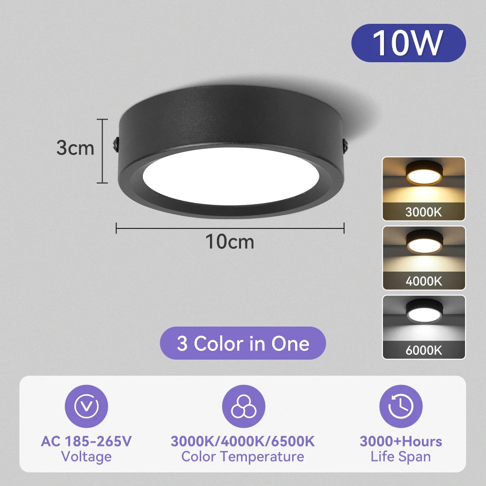 Modern Surface Mounted LED Downlight for Living Room and Bathroom Lighting