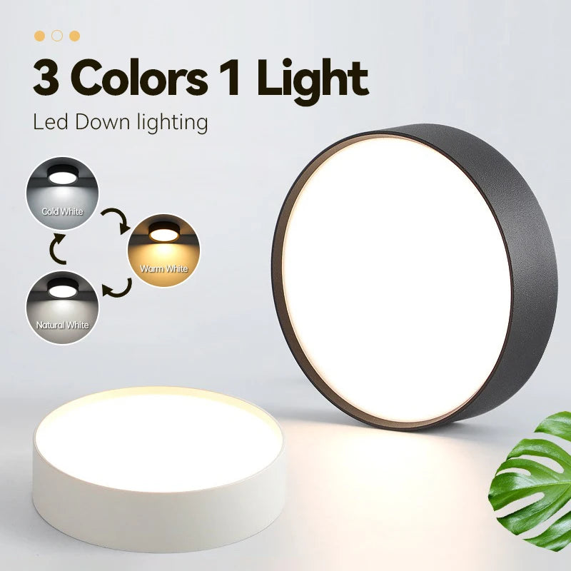 Modern Surface Mounted LED Downlight for Living Room and Bathroom Lighting