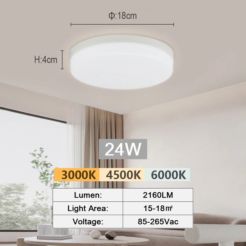 Modern LED Flush Mount Ceiling Light for Kitchens and Hallways