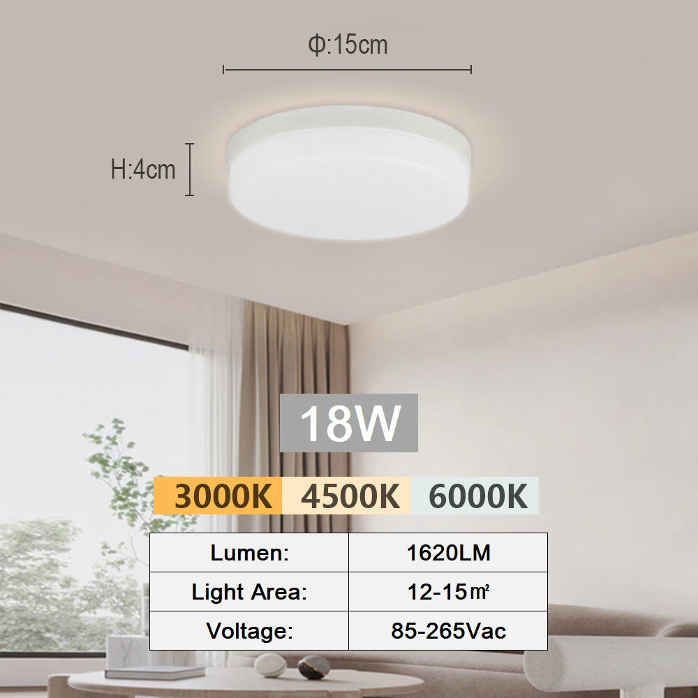 Modern LED Flush Mount Ceiling Light for Kitchens and Hallways