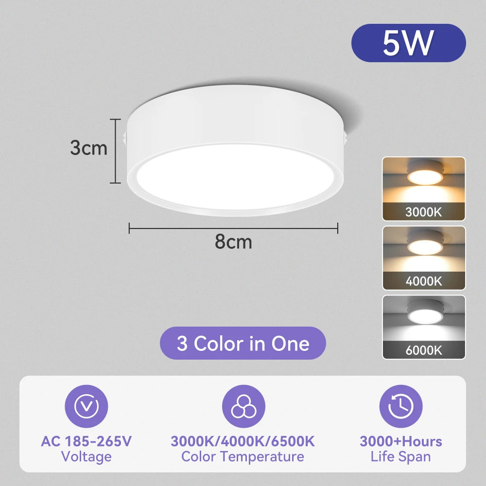 Modern Surface Mounted LED Downlight for Living Room and Bathroom Lighting