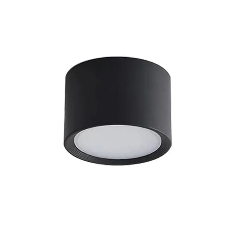 Modern Surface Mounted LED Downlight for Living Room and Bedroom Interiors