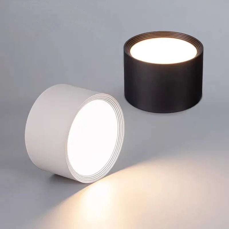 Modern Surface Mounted LED Downlight for Living Room and Bedroom Interiors